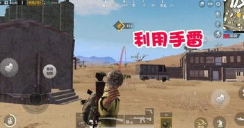 龙石战场泰伦飞天猪队搭配攻略，轻松制胜！