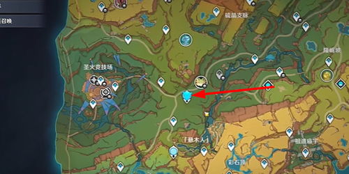 原神爱龙人日常攻略：揭秘龙族生活点滴