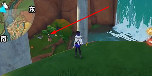 原神爱龙人日常攻略：揭秘龙族生活点滴