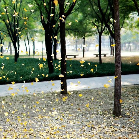 晴空之下装备套装攻略:最佳搭配推荐 晴空之下装备套装攻略:最佳搭配推荐