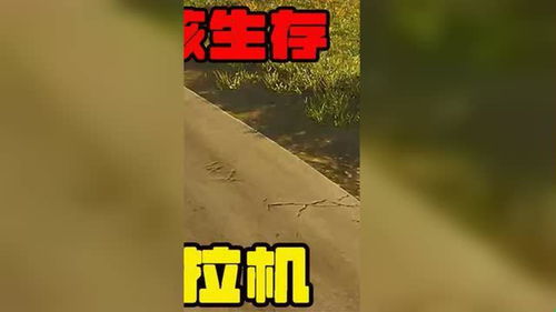 《SCUM：生存游戏中的道德沦丧，揭秘人性黑暗面》