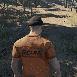 SCUM角色基础状态解析：掌握生存关键！