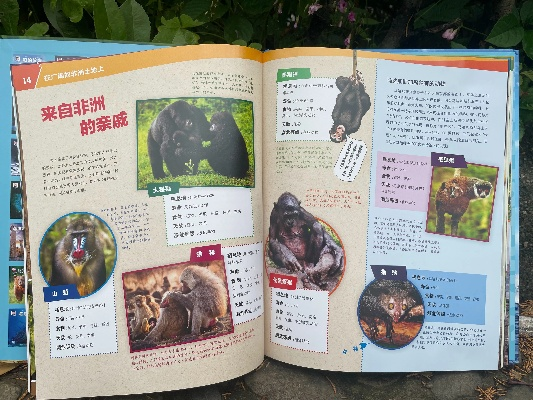 《神射手秘籍：灌木林动物图鉴大揭秘》