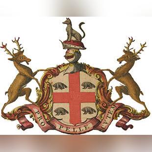 《非洲猎场神射手图鉴：狂野动物大揭秘》