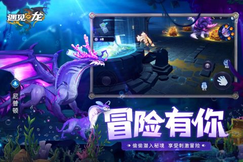 《遇见龙2》SSS+必出攻略：揭秘SSS概率提升秘诀