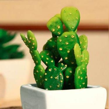 《Minecraft仙人掌种植攻略：快速上手指南》