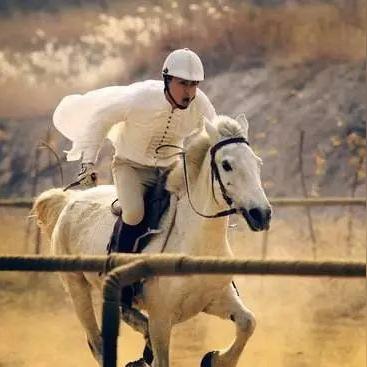 《赛马娘》养成乐无边，粉丝竟疯狂购真马！