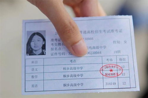 SCUM玻璃刀获取攻略：高效获取与用途详解