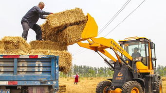 《丰收矿场攻略：揭秘假未来的宝藏挖掘技巧》
