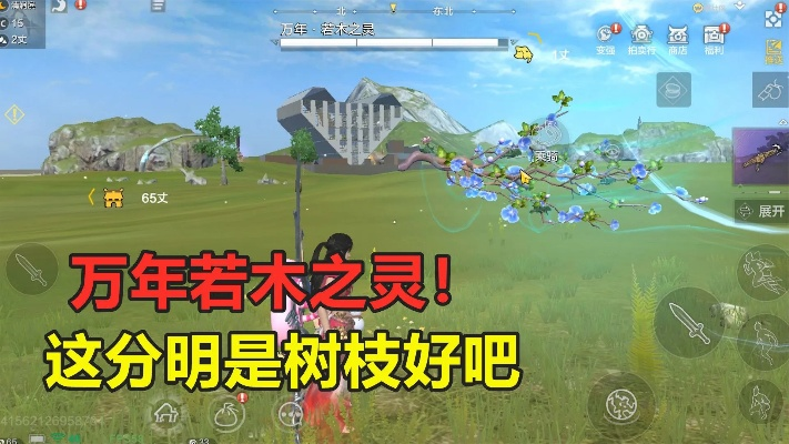 《若木之灵攻略：妄想山海万年灵获取秘籍》