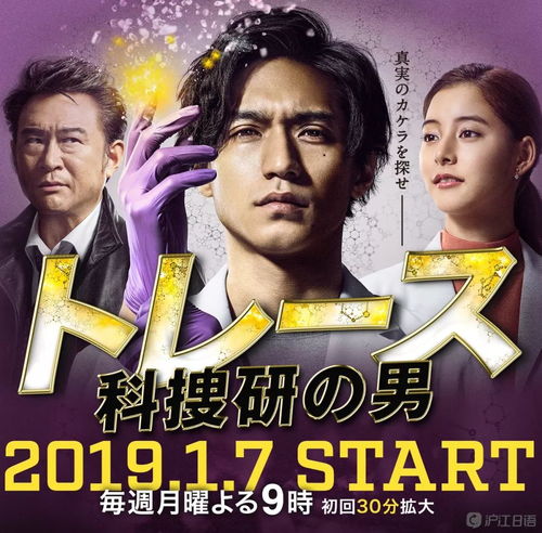 《隐秘档案:揭秘校规挑战攻略》 《隐秘档案:揭秘校规挑战攻略》