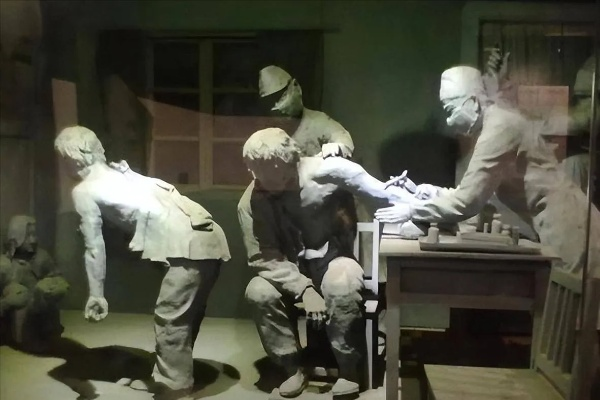 《揭秘：白俑计划背后的惊人真相！》