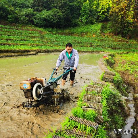 热门种田游戏盘点：盘点最受欢迎的耕田乐游