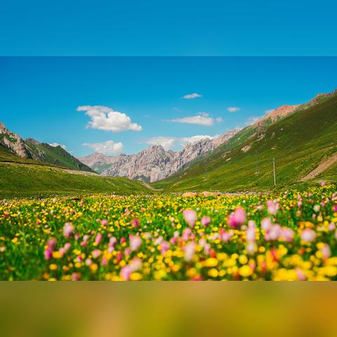 《盘点2023年度热门记叙游戏,哪款才是你的心头好?》 《盘点2023年度热门记叙游戏,哪款才是你的心头好?》