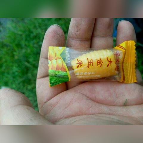 钓鱼达人必看！轻松上手技巧全解析