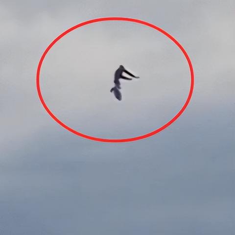 《隐藏物体游戏盘点：2023年度精选推荐》