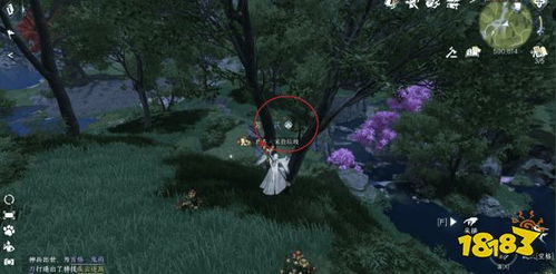 逆水寒手游:仙居原动物好感度快速提升攻略 逆水寒手游:仙居原动物好感度快速提升攻略