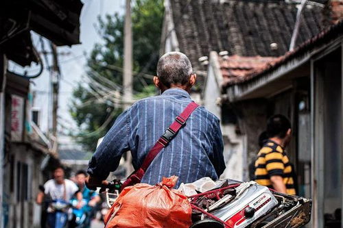 《拾荒致富秘籍:揭秘如何从废品中淘金》 《拾荒致富秘籍:揭秘如何从废品中淘金》