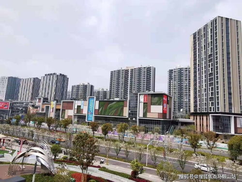 《揭秘！十大热门游戏排行，不容错过的必玩佳作》