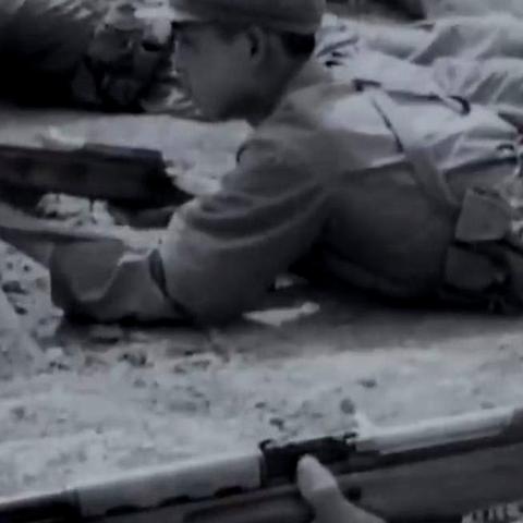 《巅峰战术竞技,下载狂潮!盘点热门战术游戏排行》 《巅峰战术竞技,下载狂潮!盘点热门战术游戏排行》