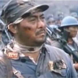 《亮剑银元攻略：揭秘银元在游戏中的货币奥秘》