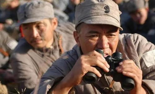 《亮剑后期阵容搭配攻略：高效阵容打造秘籍》