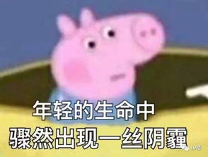 《猪猪医生大挑战：文字游戏看病攻略揭秘》