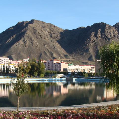 夏日垂钓关卡攻略！保卫萝卜4第1关满星通关秘籍