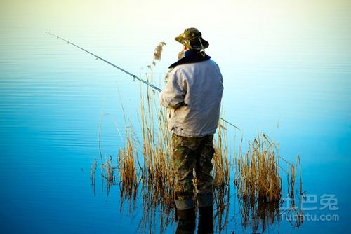 桃源深处钓鱼秘籍：仙女湖最佳钓鱼时机揭秘
