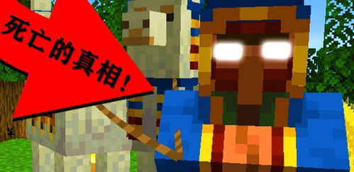 《Minecraft流浪商人必买清单：盘点热门交易物品》