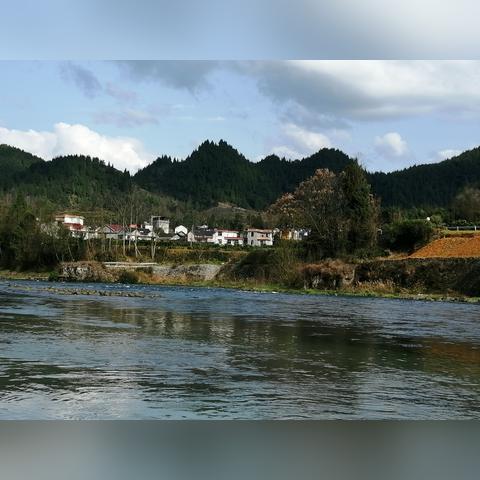 桃源深处钓鱼秘境:盘点热门钓点鱼类大全 桃源深处钓鱼秘境:盘点热门钓点鱼类大全