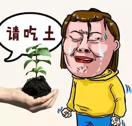 《玩出花式攻略！穷得吃土三通关秘籍大揭秘》