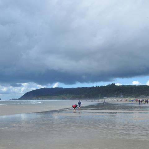 沙雕日记美女狗求生攻略:轻松通关秘籍大公开 沙雕日记美女狗求生攻略:轻松通关秘籍大公开