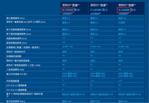 《热门选择取向游戏盘点：前十榜单，不容错过！》