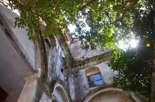 桃源深处探秘攻略:萝萝山花园玩法全解析 桃源深处探秘攻略:萝萝山花园玩法全解析