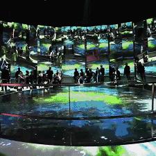 自然游戏盘点：十大必玩自然游戏推荐，沉浸式体验！