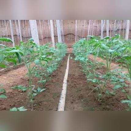 《多重人生分化材料攻略：高效获取方法揭秘》