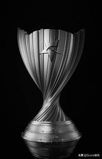 《多重人生奖杯大盘点：解锁全奖杯攻略揭秘》