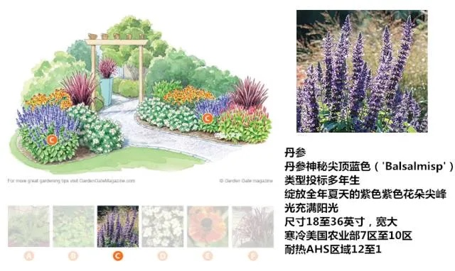 《新娘关卡攻略：玩出花镜独特玩法揭秘》