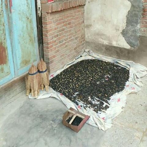 收纳物语大嫂狂飙通关秘籍！轻松过关攻略大公开