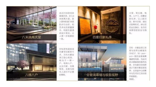 《荒岛求生大逃亡!文字游戏通关秘籍揭秘》 《荒岛求生大逃亡!文字游戏通关秘籍揭秘》