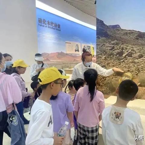 《光遇植树节活动时间揭晓！精彩内容抢先看》