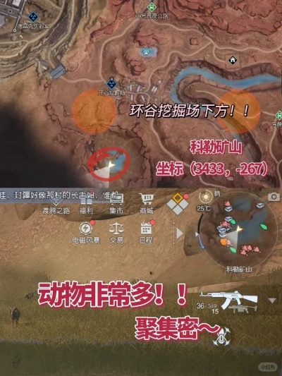 黎明觉醒芦荟获取攻略：高效材料收集方法揭秘