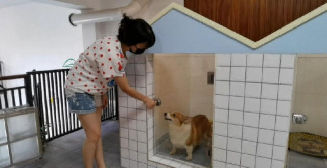 《揭秘！宠物宿舍位置大揭秘，玩家必看攻略》