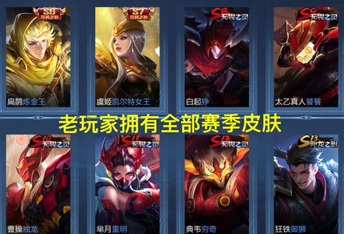 《别惹农夫蓝蓝公主皮肤揭秘：独家解锁技巧大公开》