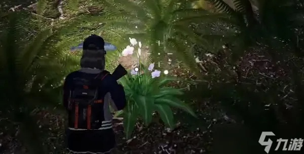 《黎明觉醒月见花采集点全揭秘》