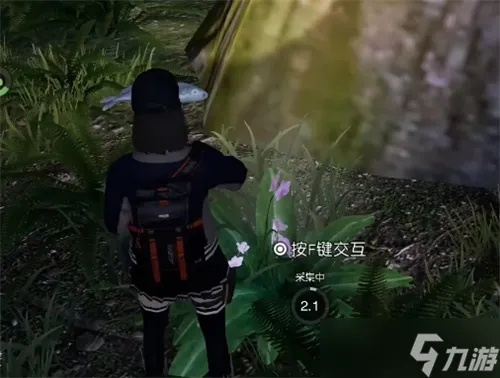 《黎明觉醒月见花高效采集攻略,快速获取指南》 《黎明觉醒月见花高效采集攻略,快速获取指南》