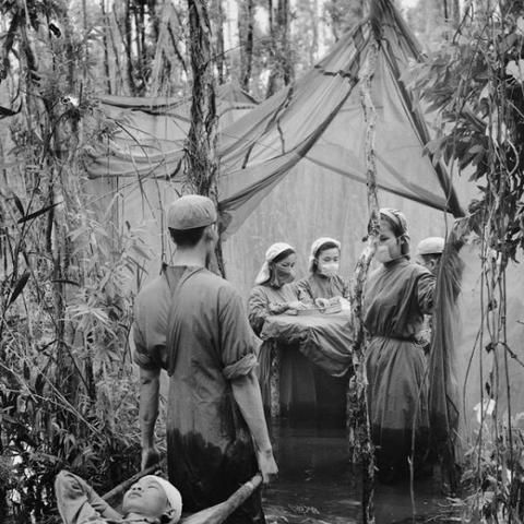 《生存战争萌新必看!新手快速上手指南》 《生存战争萌新必看!新手快速上手指南》