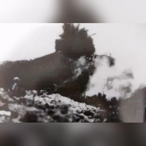 《保卫萝卜4饿龙传说50关攻略:轻松通关秘籍》 《保卫萝卜4饿龙传说50关攻略:轻松通关秘籍》