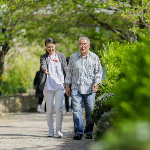 《保卫萝卜4饿龙传说57关攻略：轻松通关秘籍》